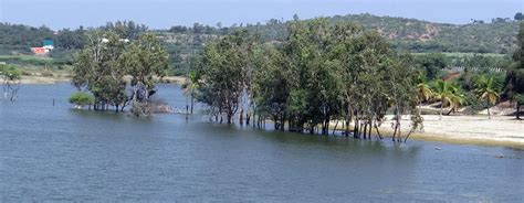 Must-Visit Views | Capture Stunning Fort Moments - 2025 (Updated)