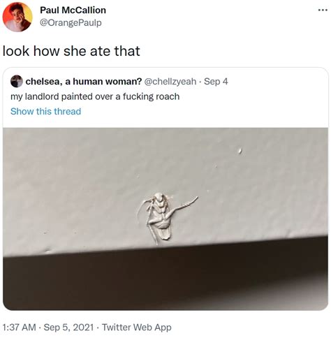 Cockroach at Dinner Table Meme 的图像结果