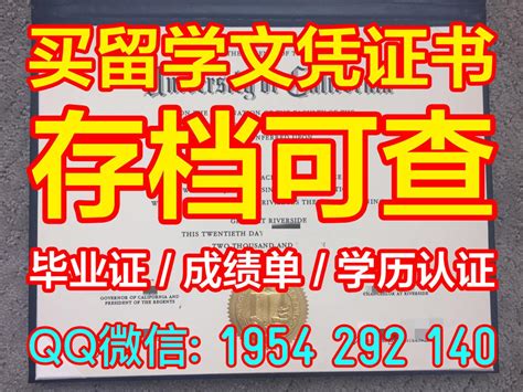 美国文凭证书设计定制【Q/微1954 292 140】纽约州立大学阿尔巴尼分校毕业证认证买|美国SUNYA双学位证书-1：1制作纽约州立大学阿 ...