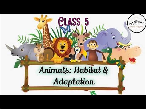 Chapter 10: Animals Habitat Video Lecture - Crash Course for Class 5