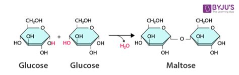 Image result for Dehydration Reaction Example