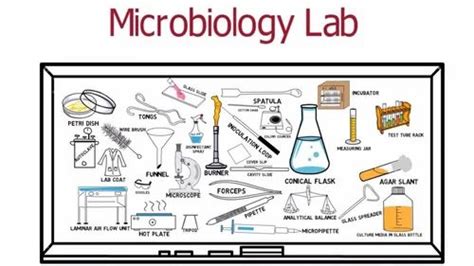 Microbiology Lab Instruments 的图像结果