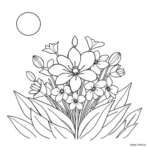 Spring Flowers Coloring Pages