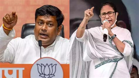 Lok Sabha Election 2024: 'They Give Tickets To Actresses So...': BJP's ...