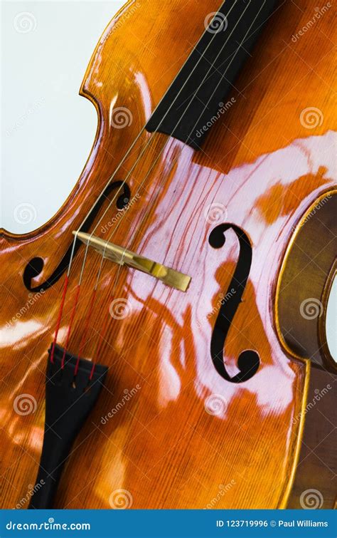 Image result for String Instruments Cello