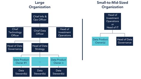 Data Management Organization Chart 的图像结果