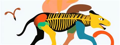 Image result for Classification System Flashcards