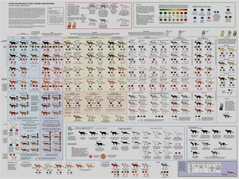 Warrior Cats Herb List And Uses at Edwin Hershman blog