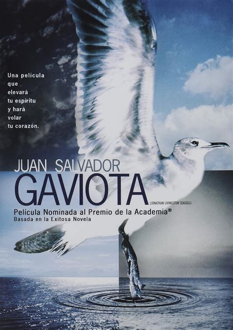 Juan Salvador Gaviota Jonathan Livingston Seagull *NTSC/Region 4 dvd ...