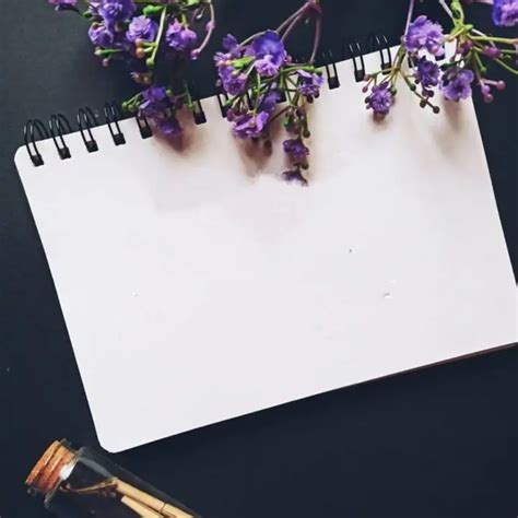 | Quotes & Writings by Aesthetic Thoughts | YourQuote