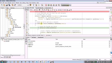 Image result for Debug Netbean