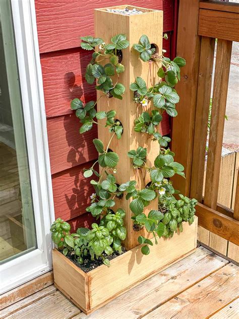 DIY Strawberry Planter [with plans!] - The Handyman's Daughter