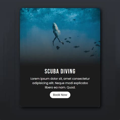 Image result for HTML CSS Basic Design