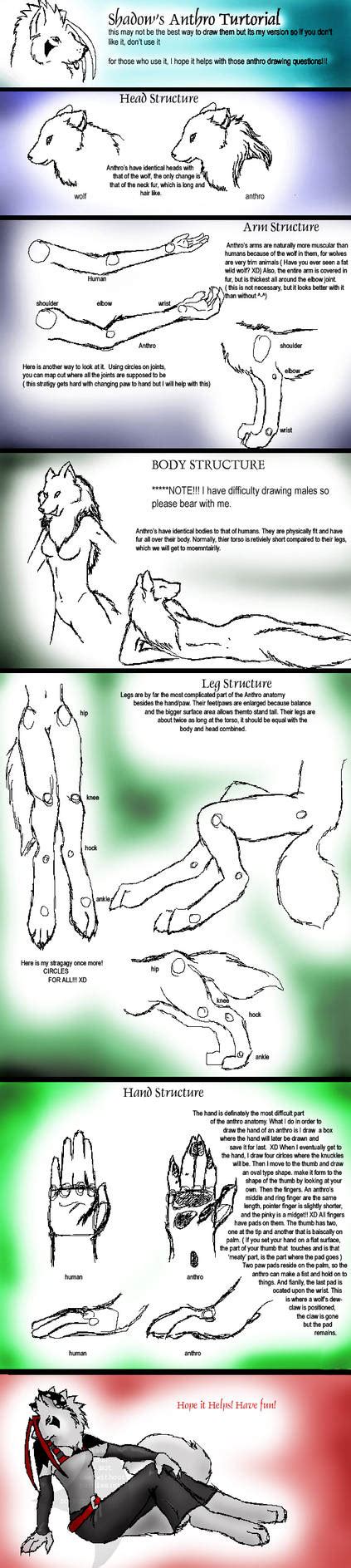 Image result for Anthro Drawing Tutorial
