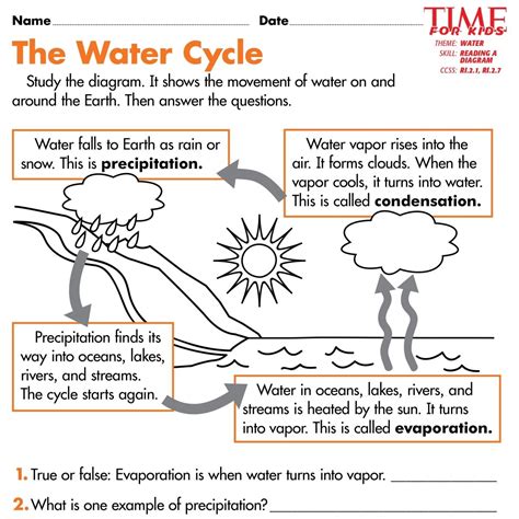 Printable Water Cycle Worksheet Pdf - Jace Printable