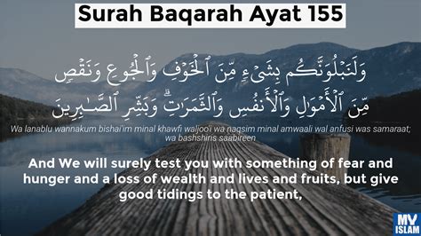 Surah Al-Baqarah Ayat 155 (2:155 Quran) With Tafsir - My Islam