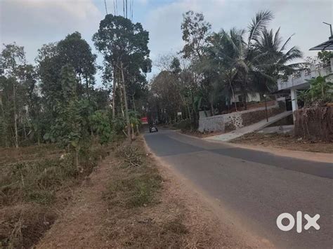 Thodupuzha Thennathoor premium house plots for sale - Lands & Plots in ...