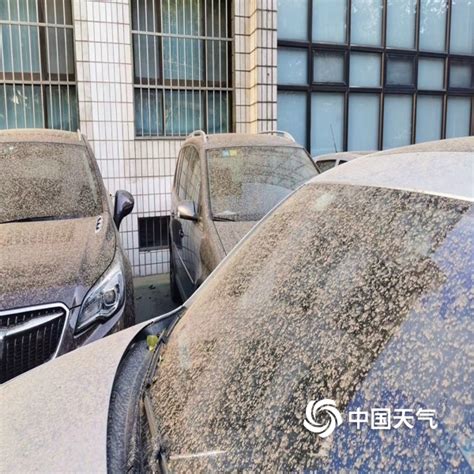 快躲避！北京大风泥雨齐来袭 户外物体泥渍斑斑-天气图集-中国天气网