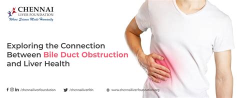Bile Duct Obstruction and Liver Health Connection - Chennai Liver Foundation