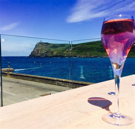 FORAGING VINTNERS (2026) All You Need to Know BEFORE You Go (w/ Reviews ...