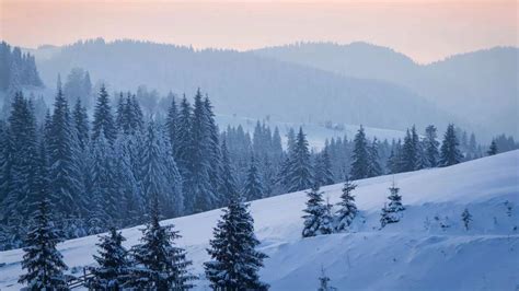 US winter 2025‑26: Complete snowfall forecast, first snow dates ...