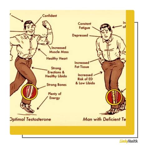 Testosterone Cypionate vs Enanthate
