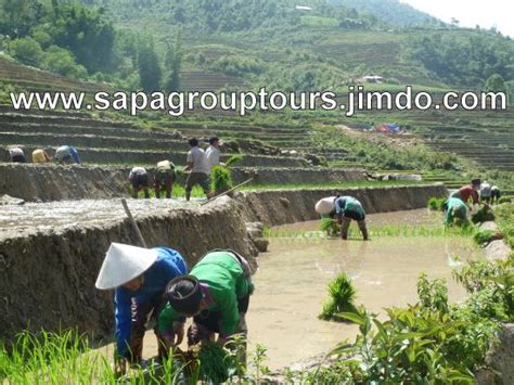 The 10 Best Lao Cai Hotels with Free Parking 2025 (with Prices ...