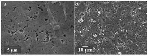 Disassembly of Li Ion Cells—Characterization and Safety Considerations ...