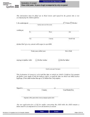 Declaration Of Consent 2020-2026 - Fill and Sign Printable Template Online