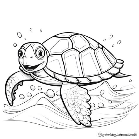 Image result for Turtle Shell Coloring