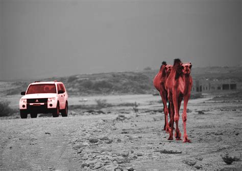 Image result for Counterintelligence Techniques