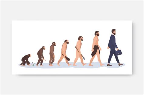 Image result for Evolution Human Body