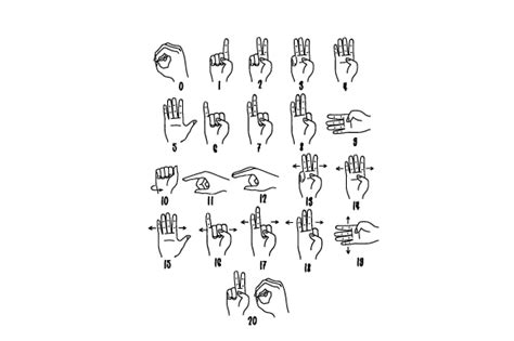 Sign Language Numbers 1 20 的图像结果