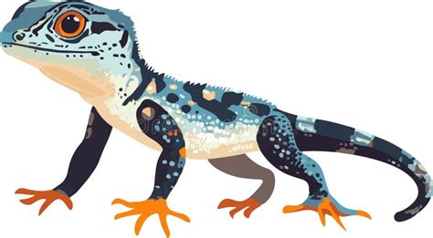 Image result for Common Collared Lizard How to Draw