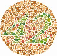 Image result for colorblind