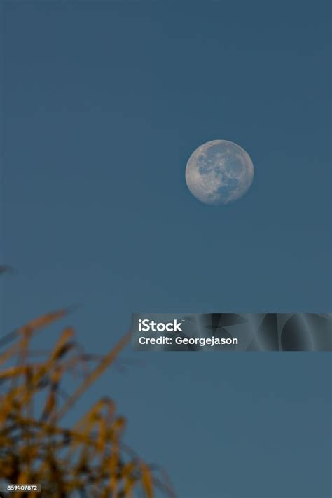 Image result for Beautiful Fall Moon