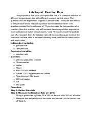 Image result for Lab Calculation for Reaction Rate