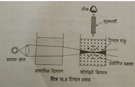 टिण्डल प्रभाव (Tyndall Effect) की परिभाषा, उदाहरण और कारण | Tyndall ...