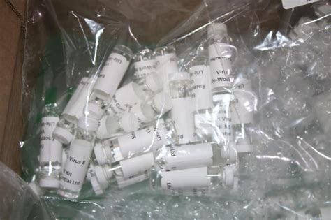 CBP Officers Seize Fake COVID-19 Test Kits at LAX | U.S. Customs and ...