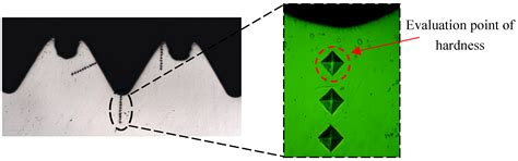 Research and Optimization of Extrusion Tap Structure Based on Numerical ...