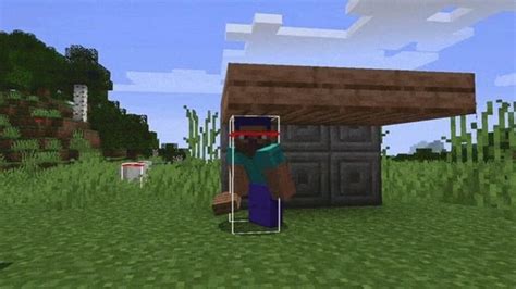 How to Show Hitboxes Minecraft Java 的图像结果