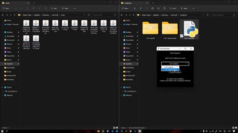 Image result for Mod Manager Mod Directory