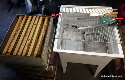 Image result for Basic Honey Processing