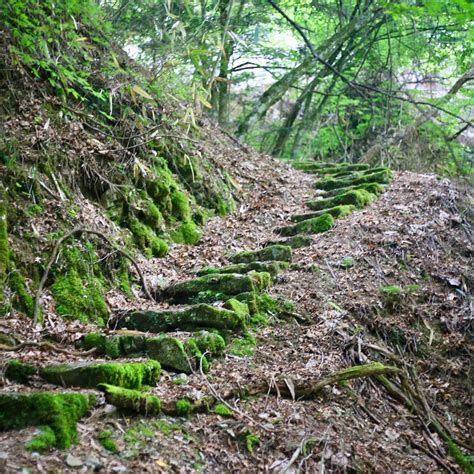 KARASAWA FALLS (2025) All You Need to Know BEFORE You Go (with Photos ...