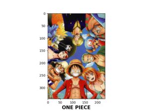 Image result for Python Coding Example Anime