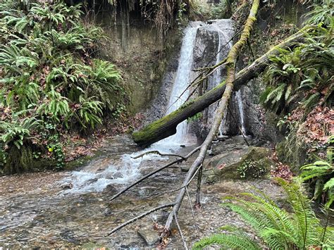 Coal Creek Trail, Coal Creek Falls — Washington Trails Association