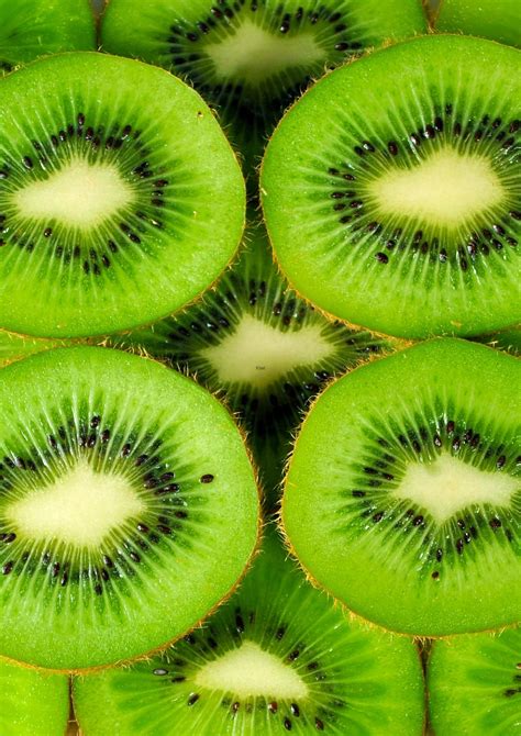 Can Cats Have Kiwi? How Safe Is This Superfruit? (THE TRUTH)