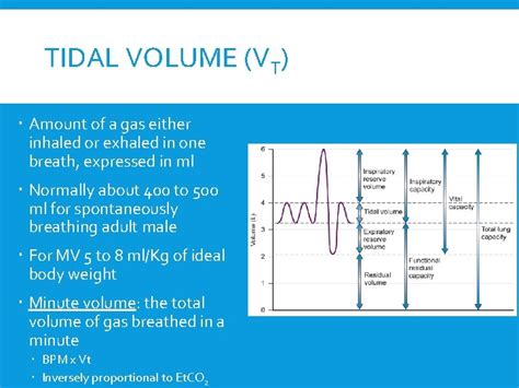 Image result for Tidal Volume Calculation
