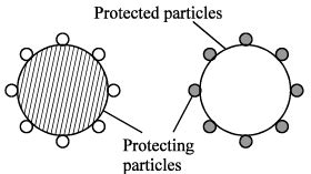 Properties of Colloidal Solutions - Additional Study Material for JEE PDF