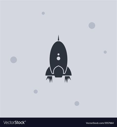 Shuttle Vector 的图像结果